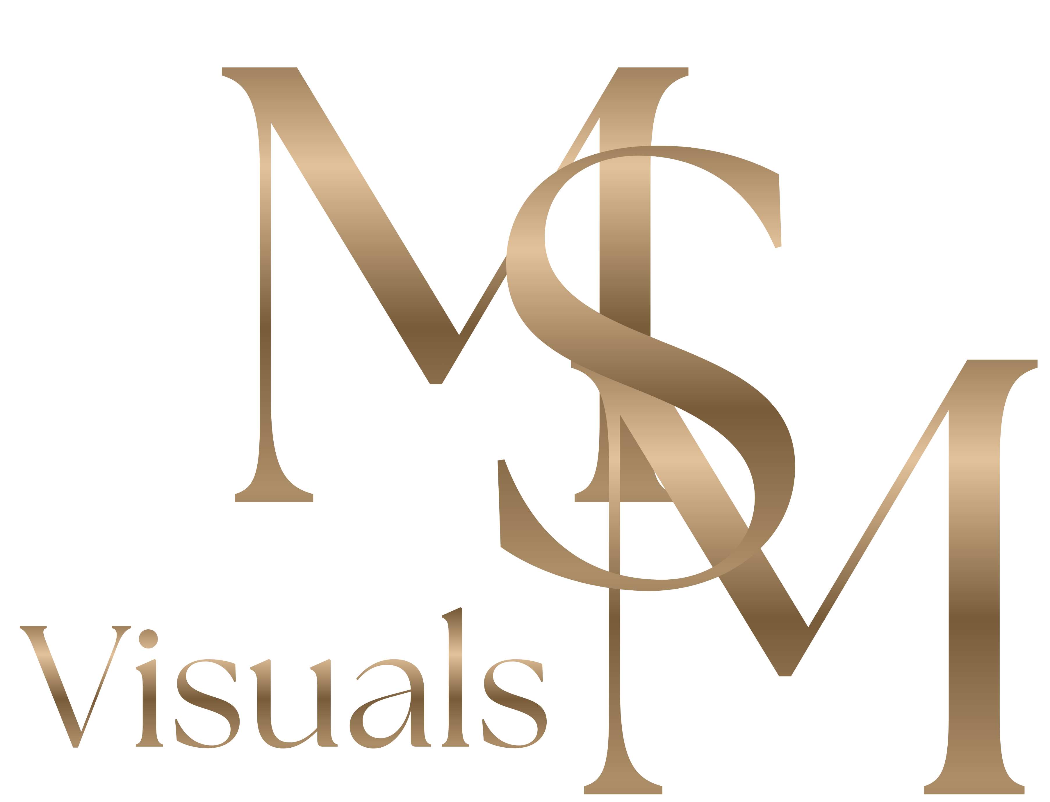 MSM Visuals